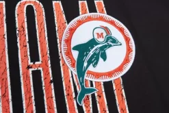 Team Og 2.0 Ss Tee Miami Dolphins