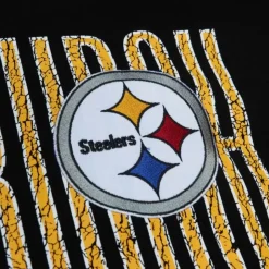 Team Og Fleece 2.0 Pittsburgh Steelers