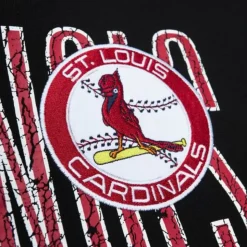 Team Og Fleece 2.0 St. Louis Cardinals