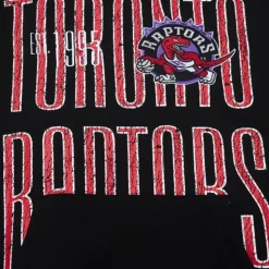 Team Og Fleece 2.0 Toronto Raptors