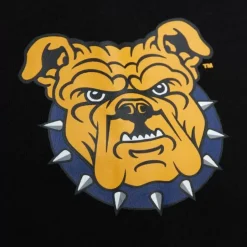 Team Og Fleece Hoodie North Carolina A&T University