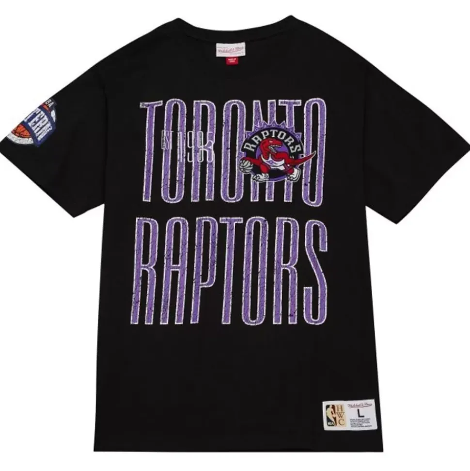 Team Og Premium Ss Tee Toronto Raptors