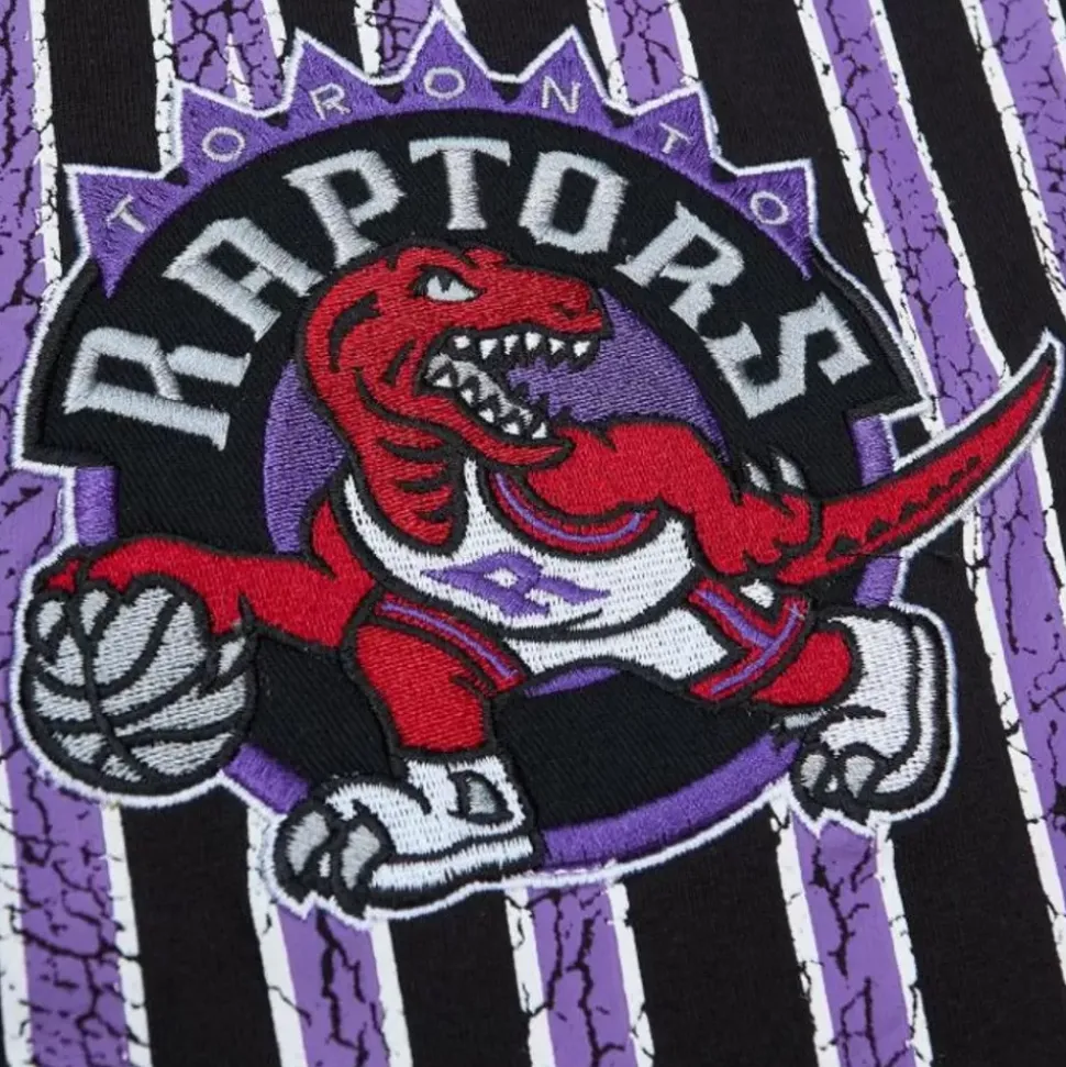 Team Og Premium Ss Tee Toronto Raptors