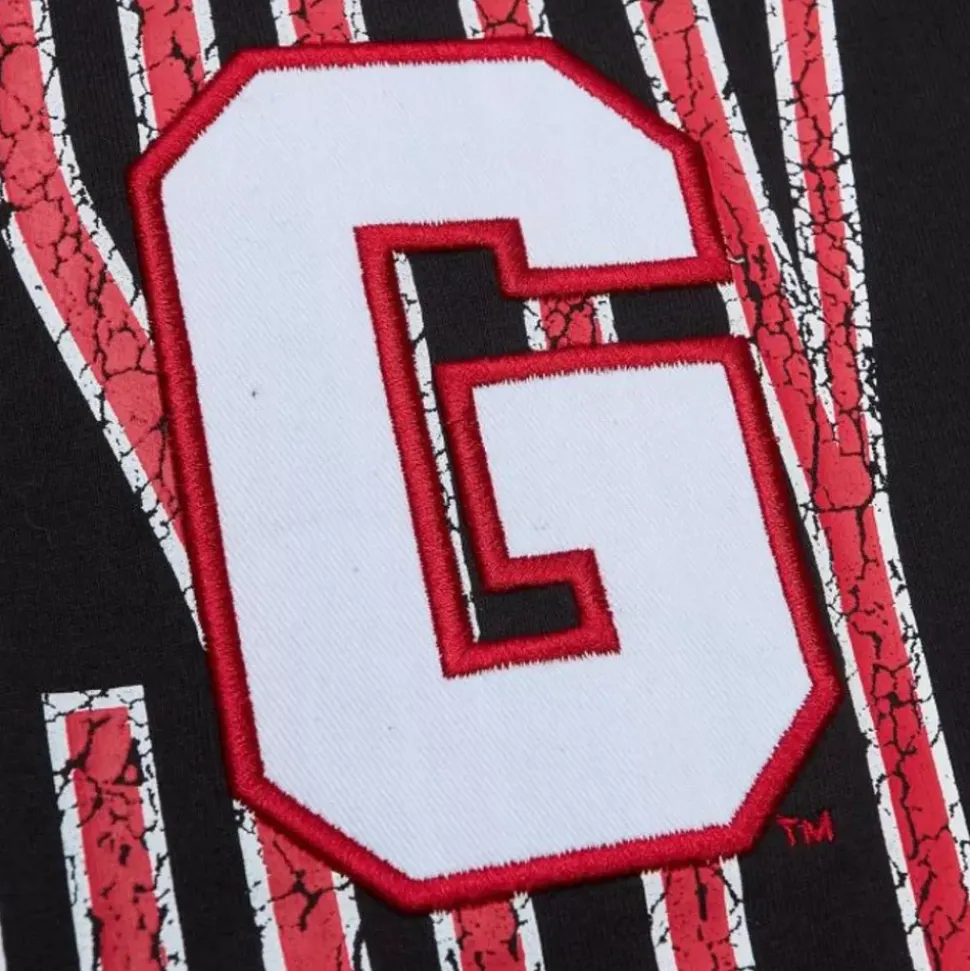 Team Og Premium Ss Tee University Of Georgia