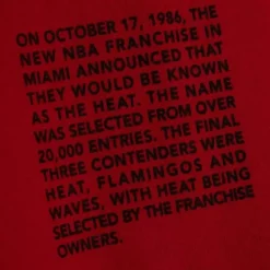 Team Origins Fleece Hoody Miami Heat