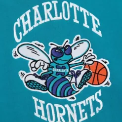 Team Origins Fleece Hoody Charlotte Hornets