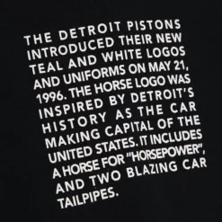 Team Origins Fleece Hoody Detroit Pistons