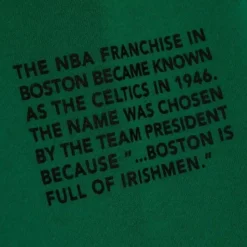 Team Origins Fleece Hoody Boston Celtics