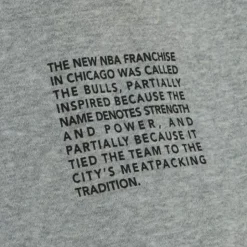 Team Origins Fleece Pant Chicago Bulls