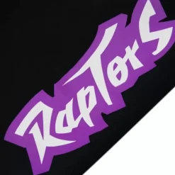 Team Origins Fleece Short Toronto Raptors