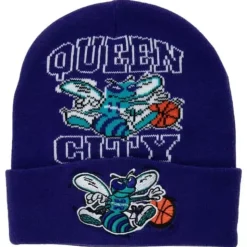 Team Origins Knit Hwc Charlotte Hornets