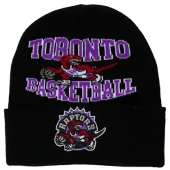 Team Origins Knit Hwc Toronto Raptors