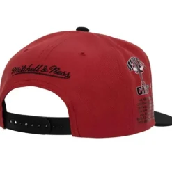 Team Origins Snapback Hwc Chicago Bulls