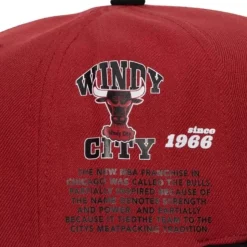 Team Origins Snapback Hwc Chicago Bulls