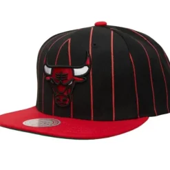 Team Pin Snapback Chicago Bulls