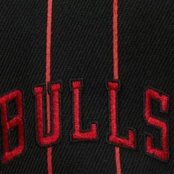 Team Pin Snapback Chicago Bulls