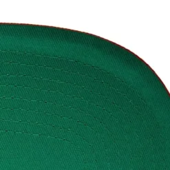 Team Pin Snapback Hwc Houston Rockets