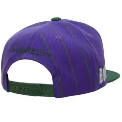 Team Pin Snapback Hwc Milwaukee Bucks