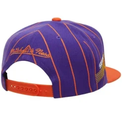 Team Pin Snapback Hwc Phoenix Suns