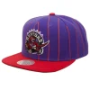 Team Pin Snapback Hwc Toronto Raptors