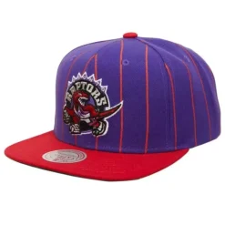 Team Pin Snapback Hwc Toronto Raptors