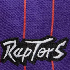 Team Pin Snapback Hwc Toronto Raptors