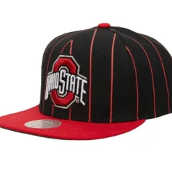 Team Pin Snapback Ohio State