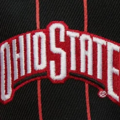 Team Pin Snapback Ohio State