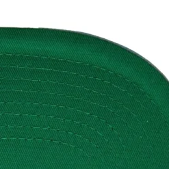 Team Pin Snapback University Of North Carolina