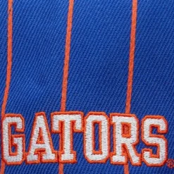 Team Pin Snapback University Of Florida