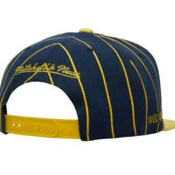 Team Pin Snapback University Of Michigan