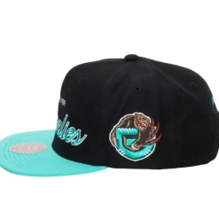 Team Script 2.0 Snapback Hwc Vancouver Grizzlies