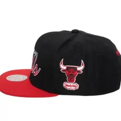 Team Script 2.0 Snapback Hwc Chicago Bulls