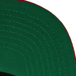 Team Script 2.0 Snapback Ohio State