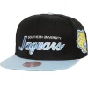 Team Script 2.0 Snapback Southern University And A&M College