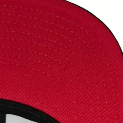 Team Script 2.0 Snapback Toronto Raptors