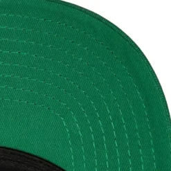Team Seal Trucker Snapback Boston Celtics