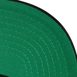 Team Seal Trucker Snapback Anaheim Ducks