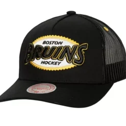 Team Seal Trucker Snapback Vintage Boston Bruins