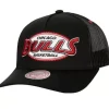 Team Seal Trucker Snapback Hwc Chicago Bulls