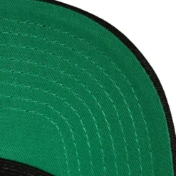 Team Seal Trucker Snapback Chicago Bulls