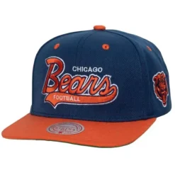 Team Tailsweep Snapback Chicago Bears
