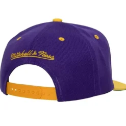 Team Tailsweep Snapback Minnesota Vikings
