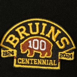 100Th Snapback Boston Bruins