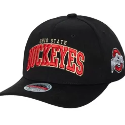 The Champ Stretch Snapback Ohio State