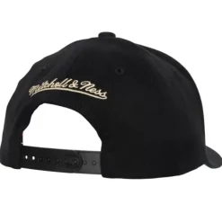 The Champ Stretch Snapback Ohio State