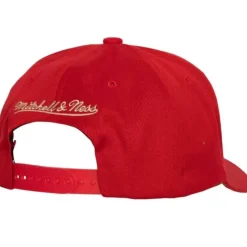 The Champ Stretch Snapback San Francisco 49Ers