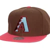 The Damn Snapback Coop Arizona Diamondbacks