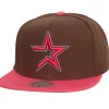 The Damn Snapback Coop Houston Astros