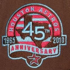 The Damn Snapback Coop Houston Astros